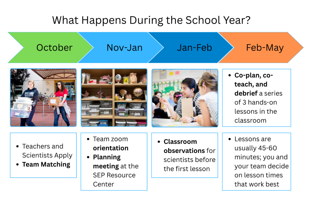 What happens during the school year - visual representation of Classroom Partnership steps